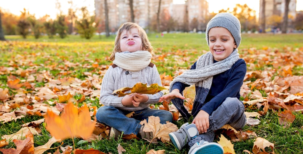 two little boys playing in fall leaves in a park two little boys playing in fall leaves in a park